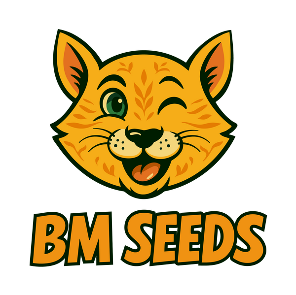 BM Seeds